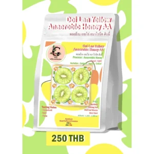 YELLOW ANAEROBIC HONEY PROCESS บ้านดอยล้าน AA